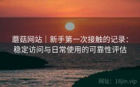 蘑菇网站｜新手第一次接触的记录：稳定访问与日常使用的可靠性评估