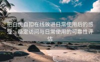 把白虎自扣在线放进日常使用后的感受：稳定访问与日常使用的可靠性评估