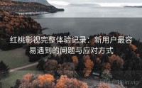 红桃影视完整体验记录：新用户最容易遇到的问题与应对方式