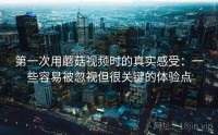 第一次用蘑菇视频时的真实感受：一些容易被忽视但很关键的体验点