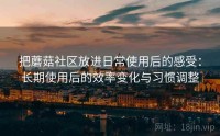 把蘑菇社区放进日常使用后的感受:长期使用后的效率变化与习惯调整