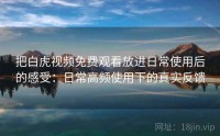 把白虎视频免费观看放进日常使用后的感受：日常高频使用下的真实反馈