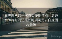 白虎图片的一次真实使用体验：更适合碎片时间还是长时间浏览，白虎图片头像