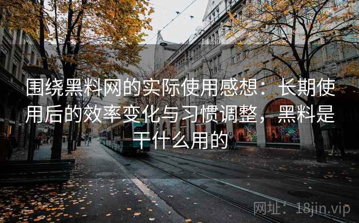 围绕黑料网的实际使用感想：长期使用后的效率变化与习惯调整，黑料是干什么用的