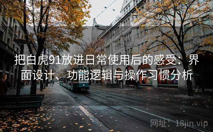 把白虎91放进日常使用后的感受:界面设计、功能逻辑与操作习惯分析 把白虎91放进日常使用后的感受:界面设计、功能逻辑与操作习惯分析