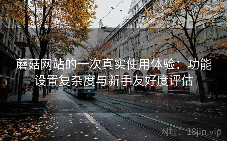 蘑菇网站的一次真实使用体验:功能设置复杂度与新手友好度评估 蘑菇网站的一次真实使用体验:功能设置复杂度与新手友好度评估