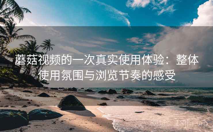 蘑菇视频的一次真实使用体验：整体使用氛围与浏览节奏的感受