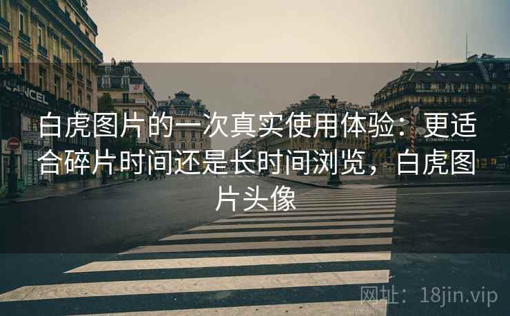 白虎图片的一次真实使用体验:更适合碎片时间还是长时间浏览,白虎图片头像 白虎图片的一次真实使用体验:更适合碎片时间还是长时间浏览,白虎图片头像