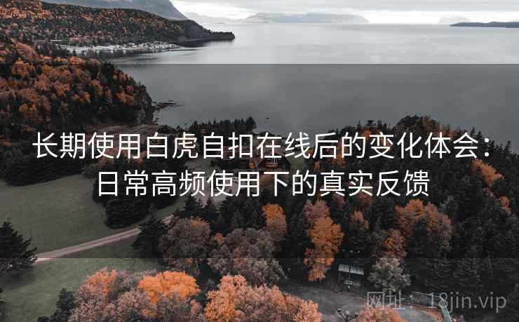 长期使用白虎自扣在线后的变化体会：日常高频使用下的真实反馈