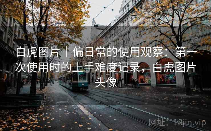 白虎图片｜偏日常的使用观察：第一次使用时的上手难度记录，白虎图片头像