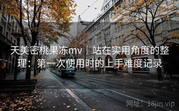 天美密桃果冻mv｜站在实用角度的整理：第一次使用时的上手难度记录