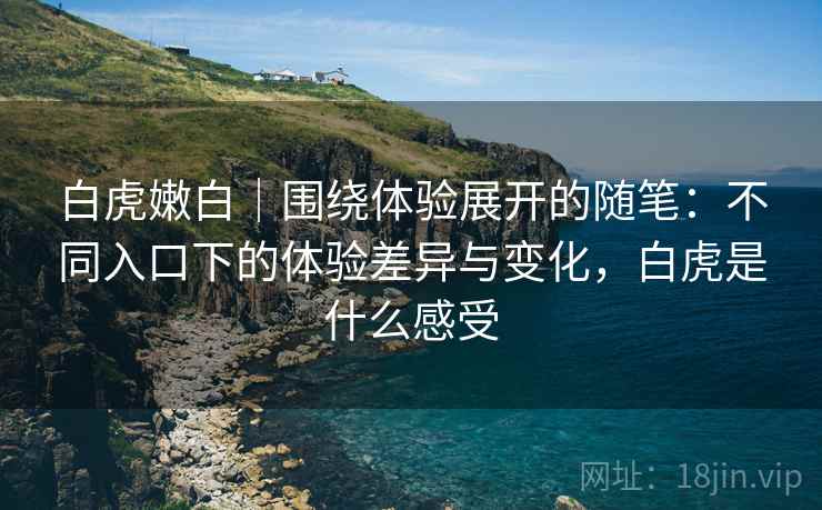 白虎嫩白|围绕体验展开的随笔:不同入口下的体验差异与变化,白虎是什么感受 白虎嫩白|围绕体验展开的随笔:不同入口下的体验差异与变化,白虎是什么感受