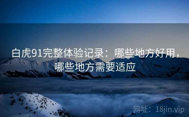 白虎91完整体验记录：哪些地方好用，哪些地方需要适应