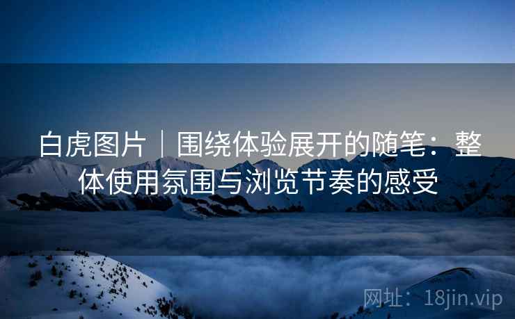 白虎图片｜围绕体验展开的随笔：整体使用氛围与浏览节奏的感受