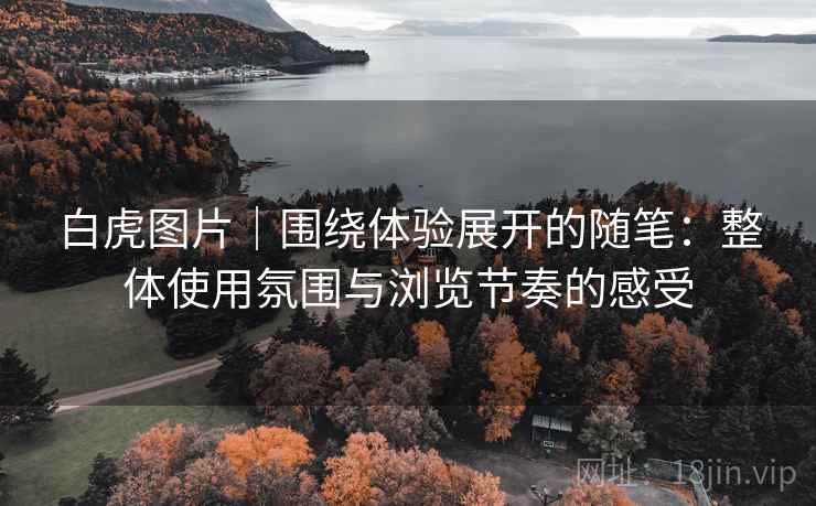白虎图片｜围绕体验展开的随笔：整体使用氛围与浏览节奏的感受