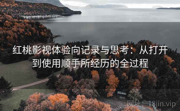 红桃影视体验向记录与思考：从打开到使用顺手所经历的全过程