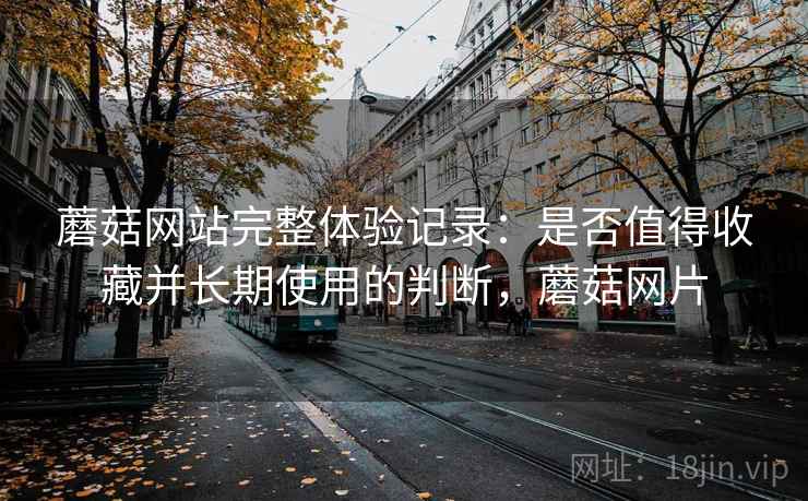 蘑菇网站完整体验记录:是否值得收藏并长期使用的判断,蘑菇网片 蘑菇网站完整体验记录:是否值得收藏并长期使用的判断,蘑菇网片