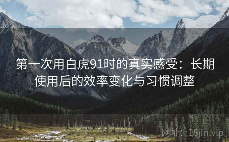 第一次用白虎91时的真实感受:长期使用后的效率变化与习惯调整 第一次用白虎91时的真实感受:长期使用后的效率变化与习惯调整